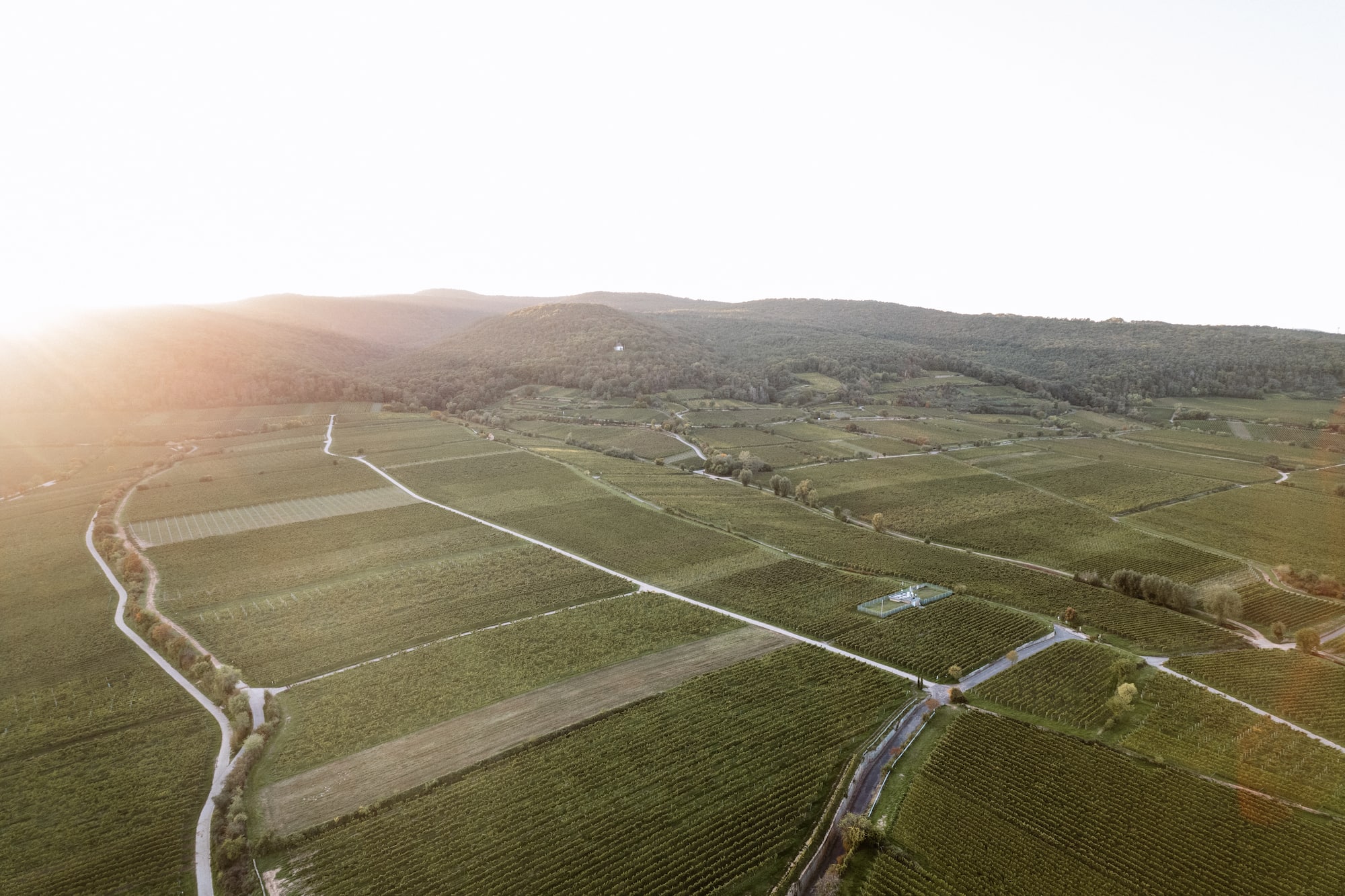 Hochzeit im Weingut von Winning